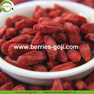 Fruta natural de baixa hidratação Premium Frutas comuns de Goji