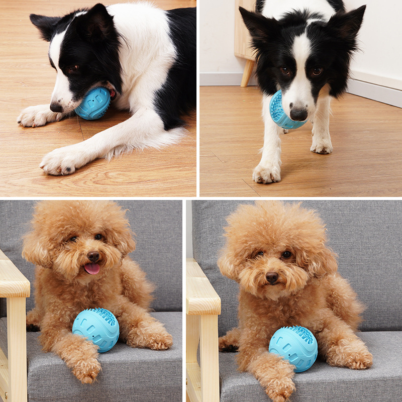 Dog Chew Ball Toy