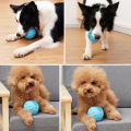 Interactive Sound Ball Dog Chew Ball Toy