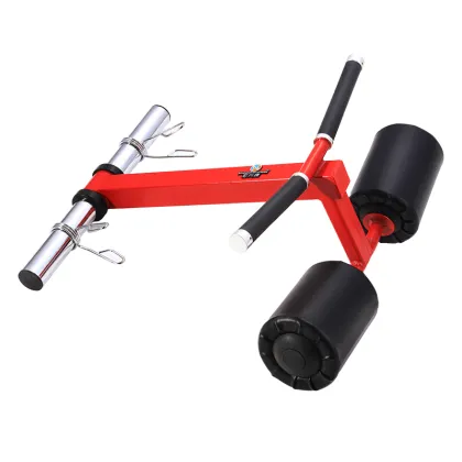 Strength Exercise Fitness Equipment Arm Curl Machine