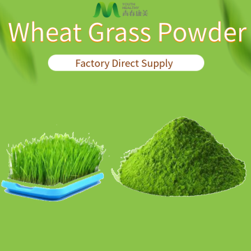 Best Raw Wheat Grass Juice Powder