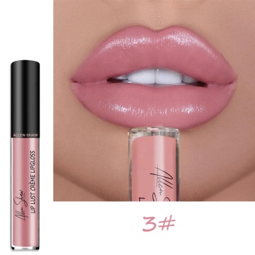 Popular Waterproof Glossy Lipgloss with Private Logo - 12 Colors High Quality