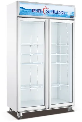 commercial glass door showcase cold drink freezer LD-1000M2/W
