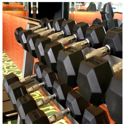 High Quality Gym Equipment Rubber Dumbbells Free Weights Hexagonal Dumbbells Cheapest Dumbbells Online