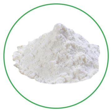 Healthy Organic Food Grade Coconut Milk Powder