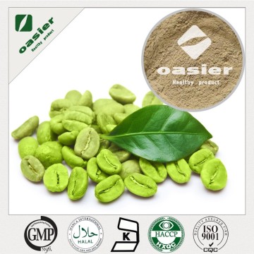 Hot Sale Green Coffee Bean Extract with Right Price