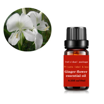 OEM Ginger flower essential oil