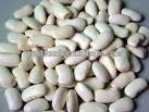 white kidney beans from China