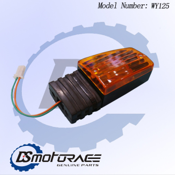 Corner Light Turn Signal Driver Side