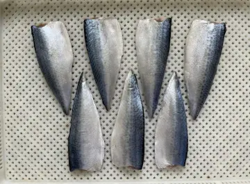 Hot Selling Frozen Pacific Mackerel Fillet
