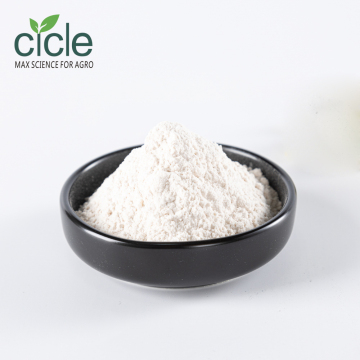 10% Arachidonic Acid /ARA Soluble Powder