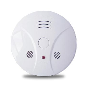 Stand-Alone Combined Smoke and Carbon Monoxide Detector (9V DC)