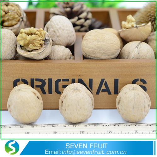 Nutritious Food Dried Style Walnut Shells For Sale