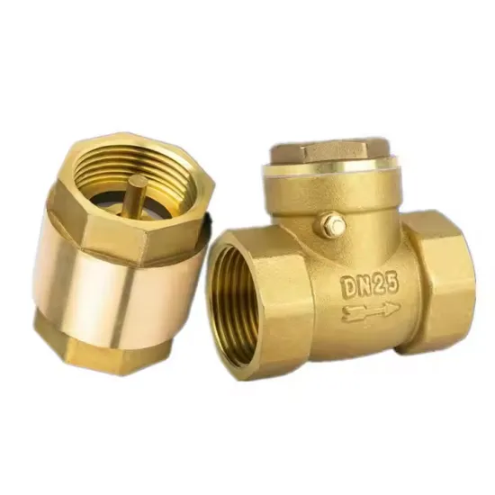 Internal Thread Vertical Brass Spring Check Valve