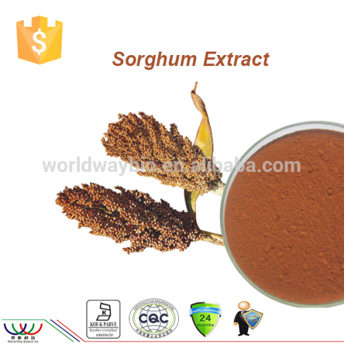 free sample ! China bulk anti oxidant CAS 90582-47-1 90% proanthocyanidins UV sorghum bran extract opc