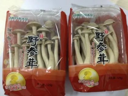 lyophyllum mushroom/ club fungi Mushrooms /coral fungi