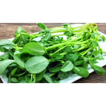 Ma chi xian Chinese natural herba eXTRACT