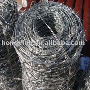 barbed wire mnb