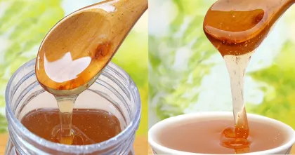 Golden yellow pure rape honey bulk sale