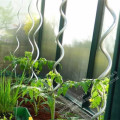 Spiral Support Wire Tomatenpfähle für den Garten