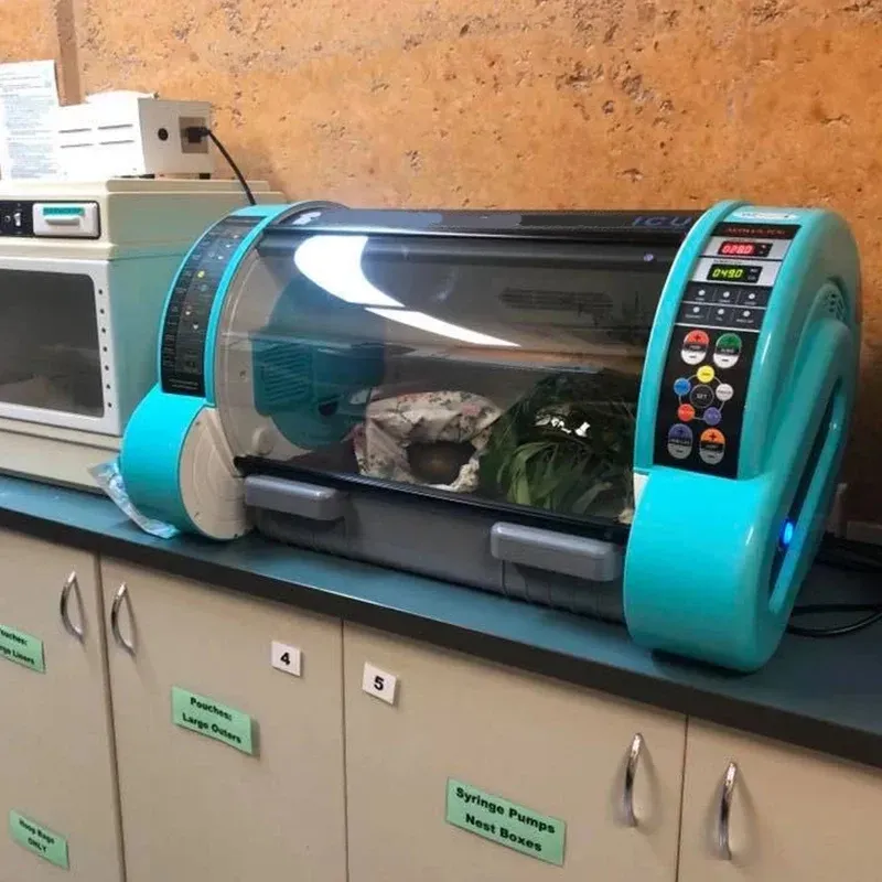 Fully Automatic Veterinary ICU Incubator with Nebulizer