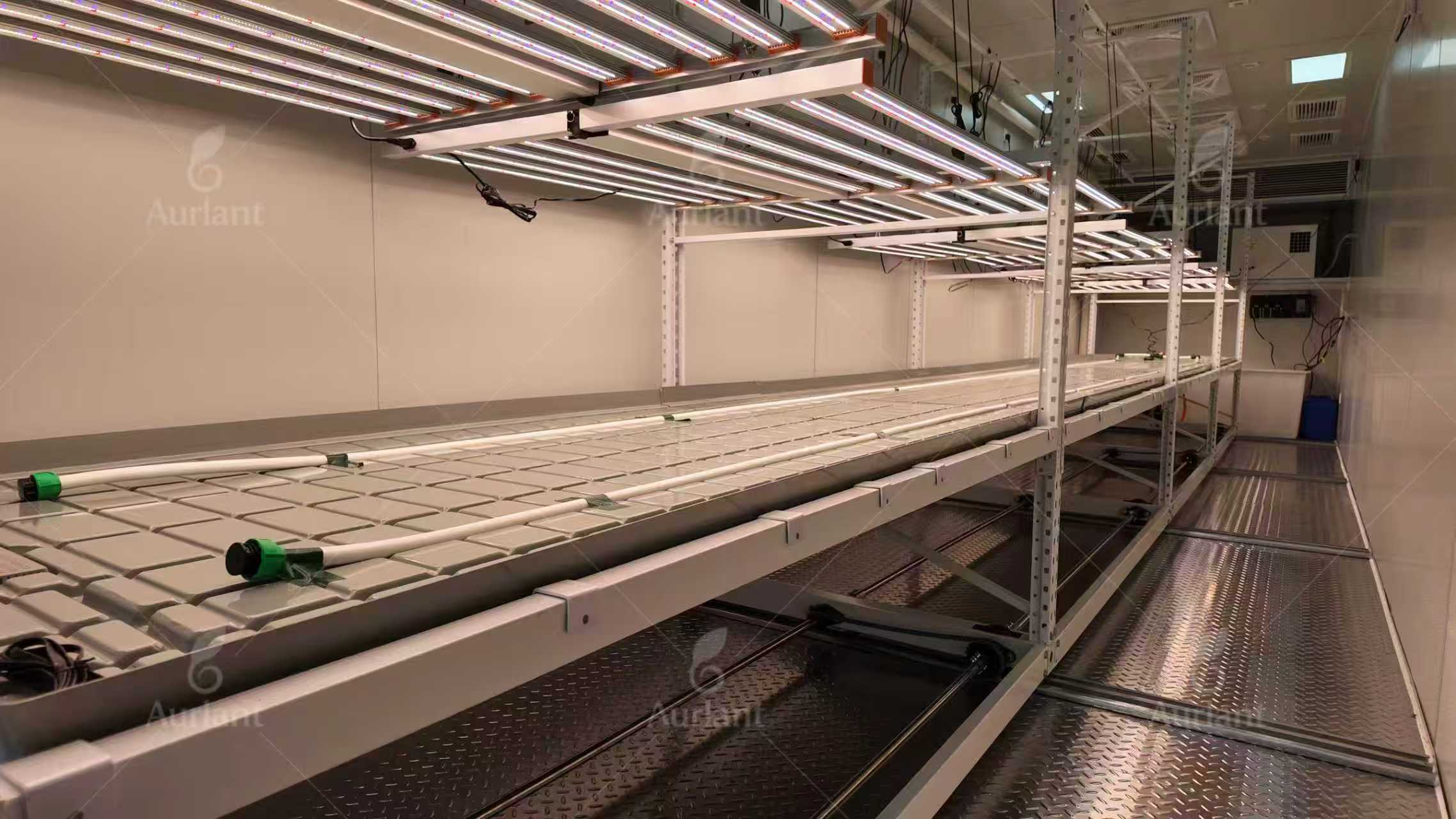 b5a8e03c486674931b334f2c11cd3bdd