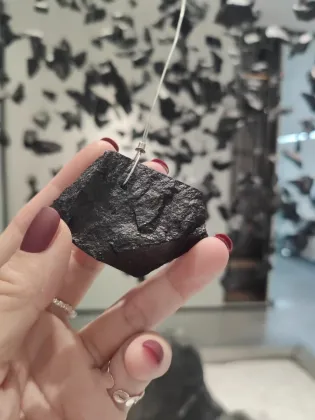 Modern Black Chandelier for Art Gallery and Salon Lighting