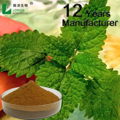 Melissa officinalis leaf extract