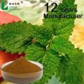 melissa officinalis leaf extract