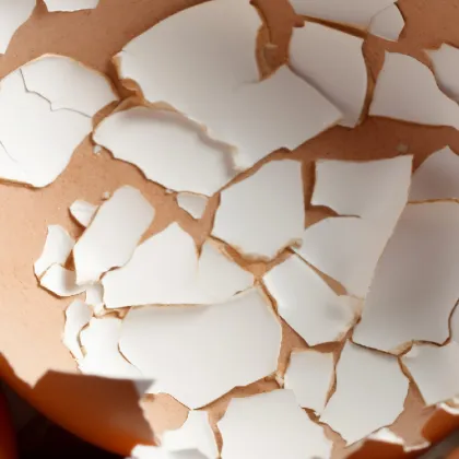 Egg Shell Membrane Powder Bulk