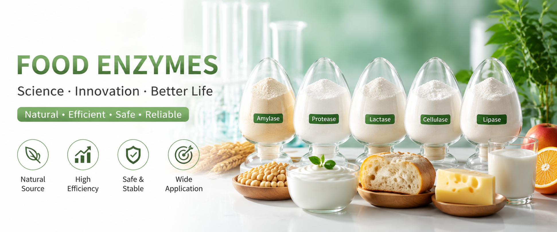 Food enzymes