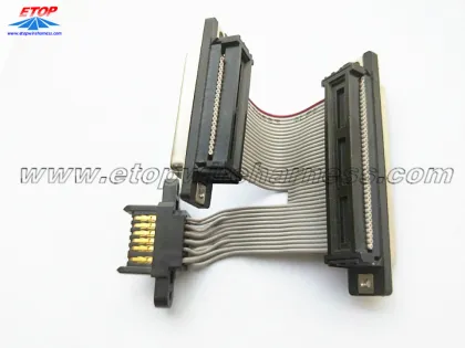 Flat cable assembly with JAE connector