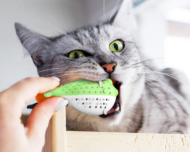 Cat Toothbrush Details 2