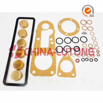 Repair Kit 1 417 010 003(800006) Auto Spare Parts Gasket Kits Ve Pump Gasket