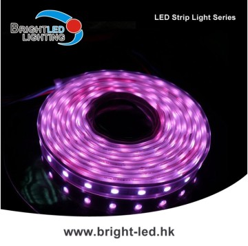 High Power LED Strip Light RGB 5050 SMD