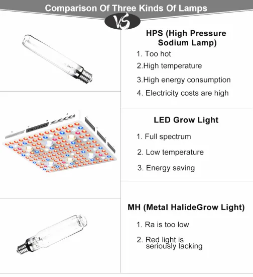 EU/US COB LED Grow Light 3000w/2000w/1000w