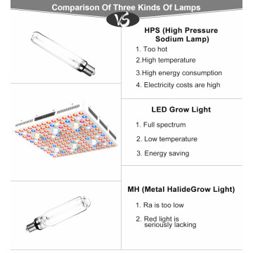 Crescer luz agrícola 3000w