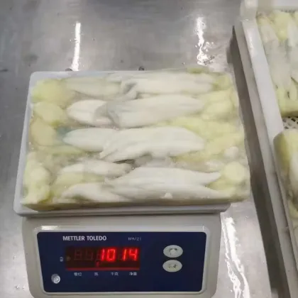 Frozen Illex Squid Roe