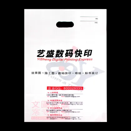 Wholesale Brand Name Bags Nice PE Bag