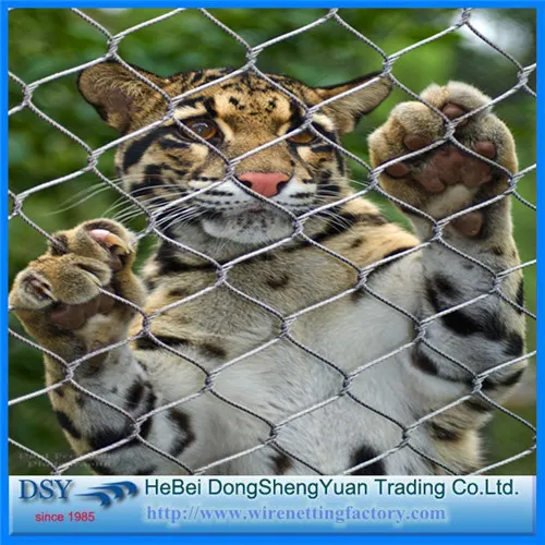 Hot Selling Chain Link Mesh for ZOO