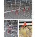 Poultry farm nipple water