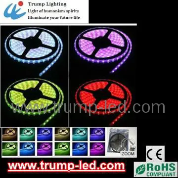 Waterproof Mini Christmas LED Lights,Festival Light