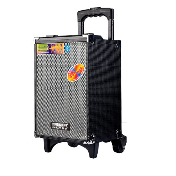 Temeisheng A8-2T Wireless Karaoke Trolley Speaker with 8 Inch Bass