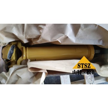 JOINT GP-UNIV 497-4979