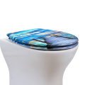 Duroplast Toilet Seat Soft Close (sky)