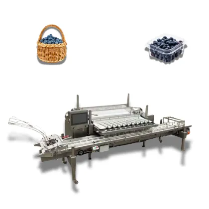 Cost-Effective Automatic Weighing and Packing Machine for Berry Farms