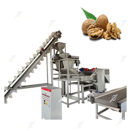 Professional Automatic Pecan Nuts Hulling and Shelling Machine
