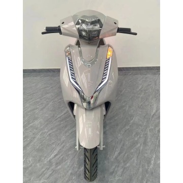 OEM Customised E-Moto z podwójnymi hamulcami tarczowymi i CKD/SKD