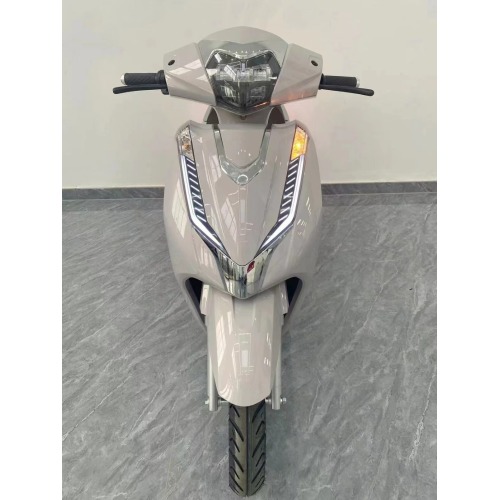 OEM Customised E-Moto z podwójnymi hamulcami tarczowymi i CKD/SKD