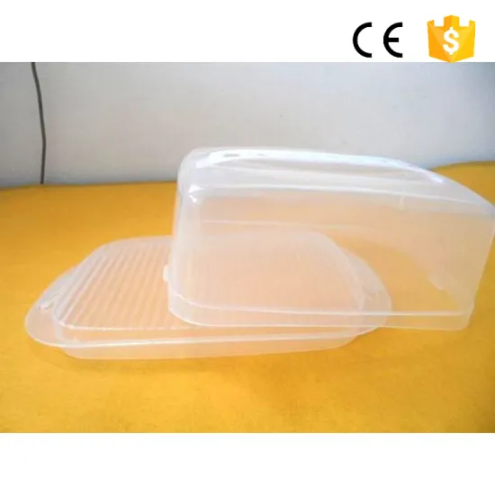 Transparent Plastic Packaging Clear Rigid Plastic Boxes